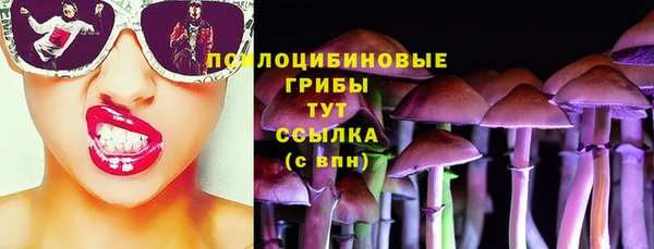 мяу мяу мука Алексеевка